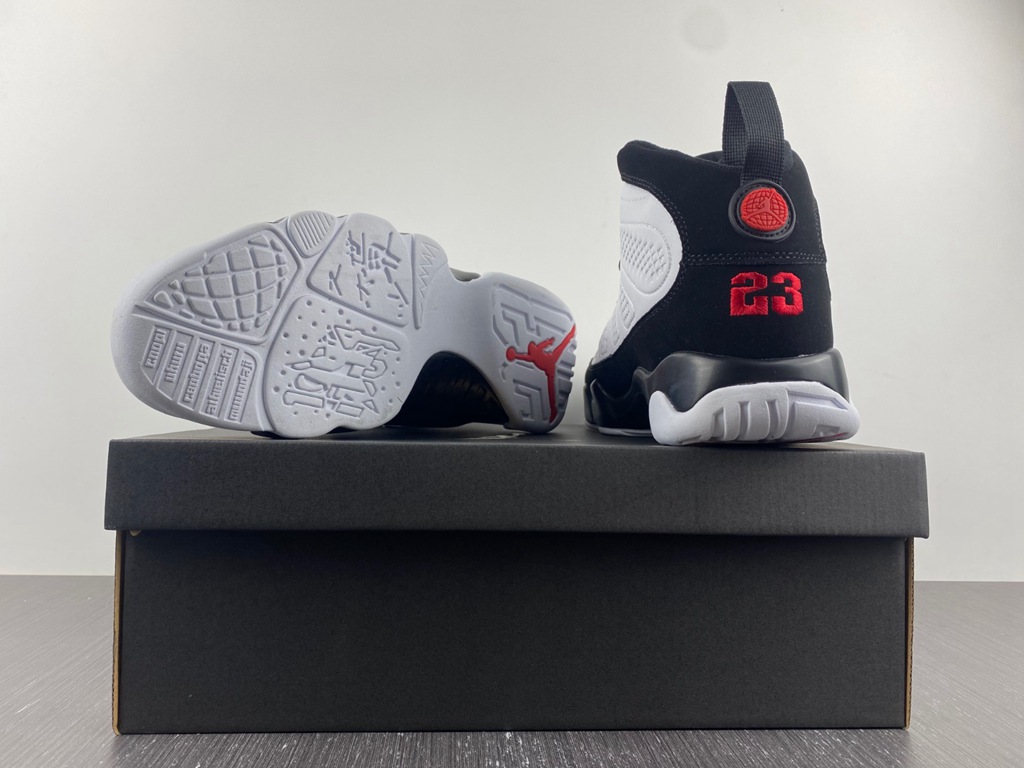 Air Jordan 9 302370-112